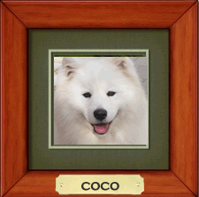 Coco